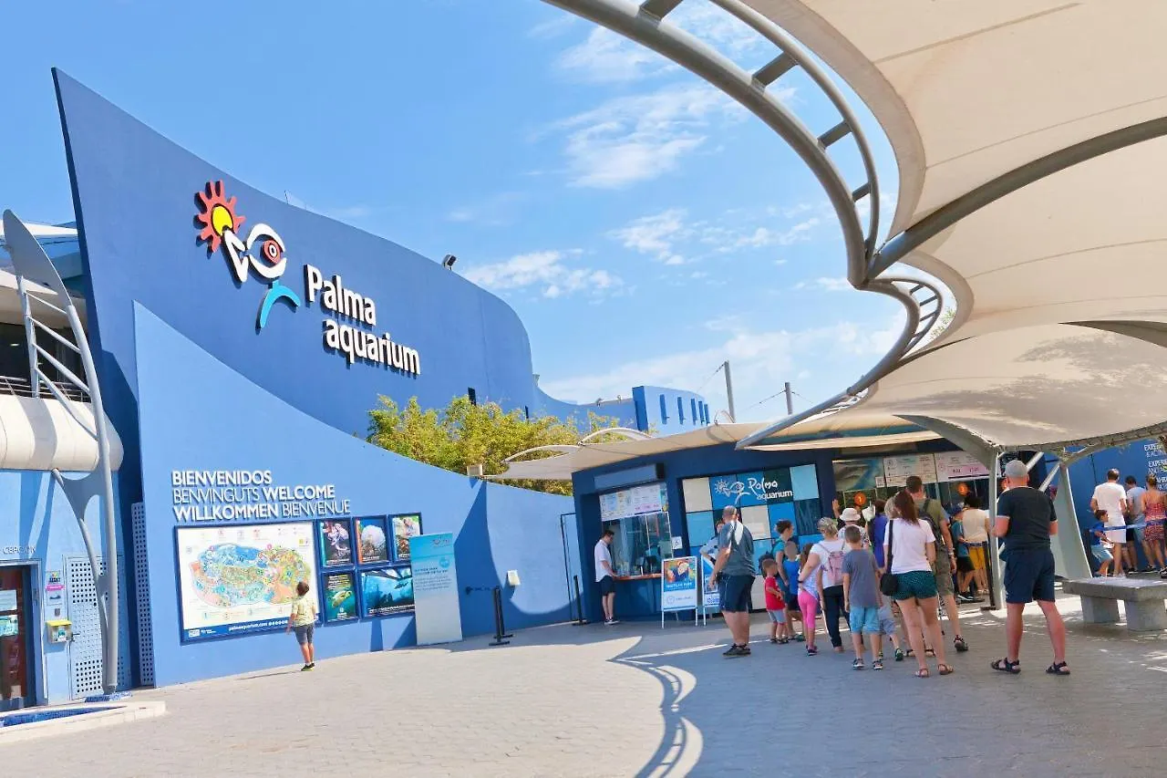 Villa Els Pins إل أرينال